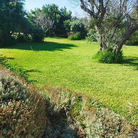 Rizzorelax Io Mammata E Tu