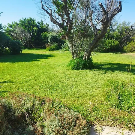 Rizzorelax Io Mammata E Tu Bed & Breakfast